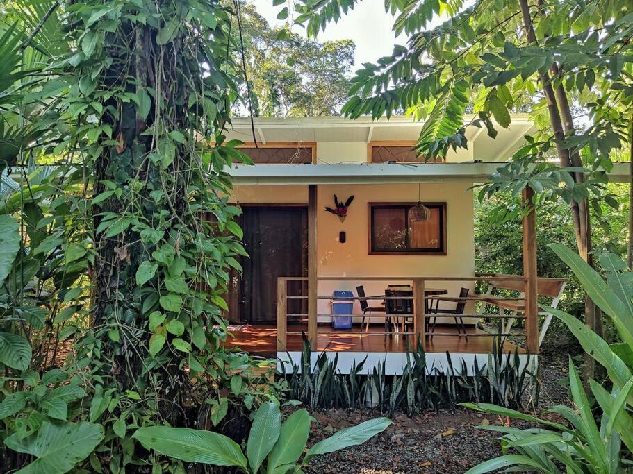 Little Yemanja Bungalow Puerto Viejo de Talamanca エクステリア 写真